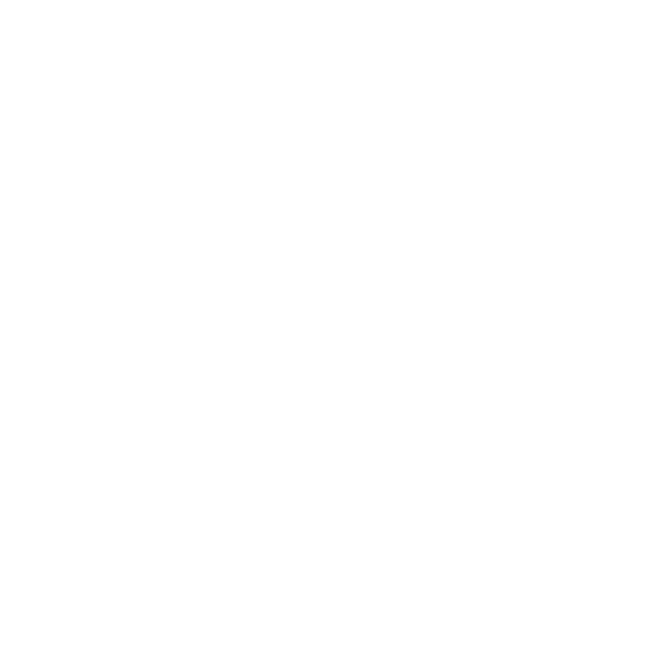 Terra y Oliva